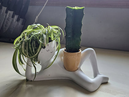 Foto de reseña - Diego H.