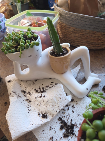 Foto de reseña - María G.
